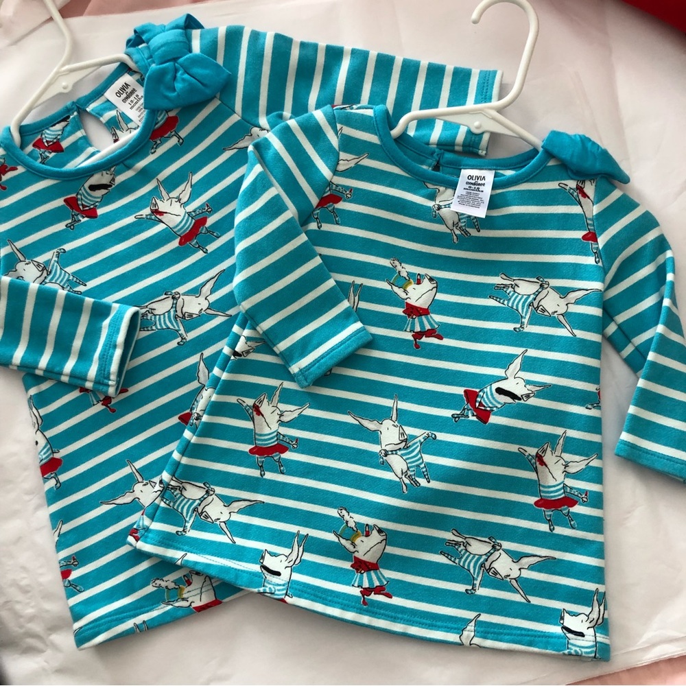 Matching Gymboree Olivia blue long sleeve dress 6-12 months